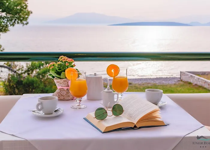 Junior Hotel