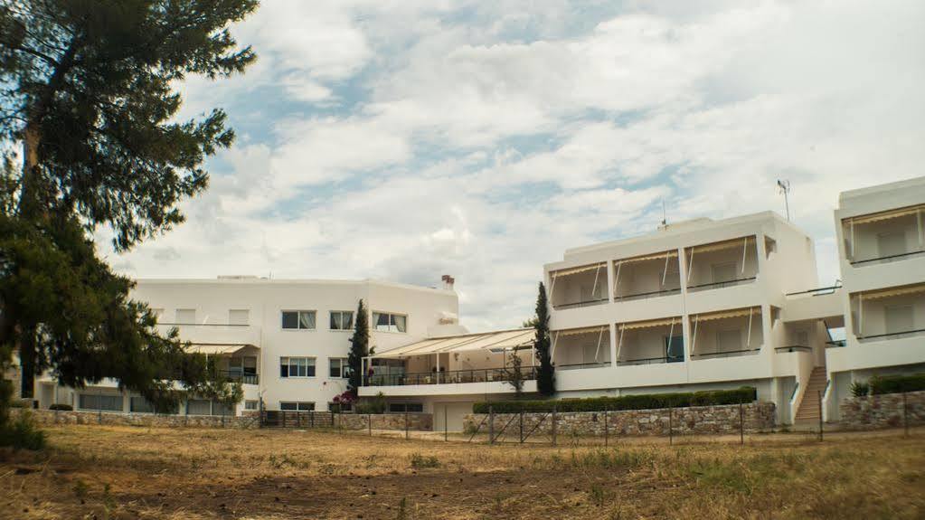 Junior Hotel